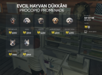 evcil hayvan.png evcil hayvan.png