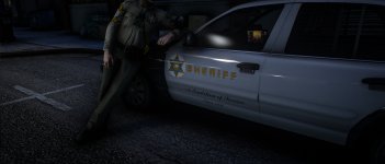 Yaslanmış Çavuş.jpg