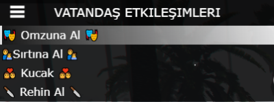13253 13253