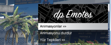 F5_Animasyon_menusu.png