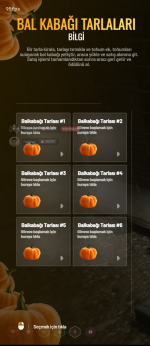 Ekran Görüntüsü (46).png