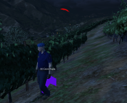 65725.png
