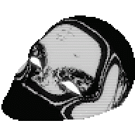 baysal