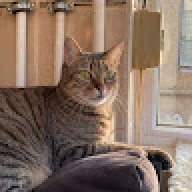 sfafasfaffaf232323