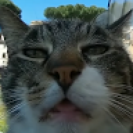 FeiXth
