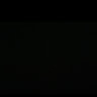 lynex3152