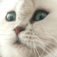 MuhoS0