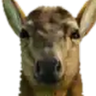 zodiacdamian