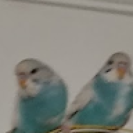 asdfasdfagsdpogjpasdkgpwa