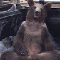 dogubey