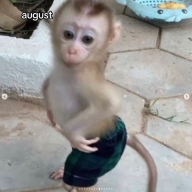 emresrcolu