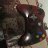 ofry647483