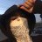 Ardq